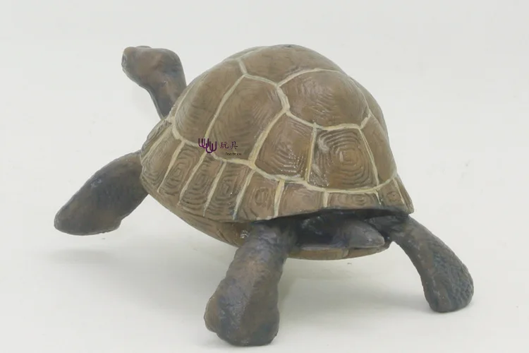 

Трансграничная, имитация дикой природы, набор моделей животных, маленькая черепаха, черепаха, пластиковая игрушка-симулятор.