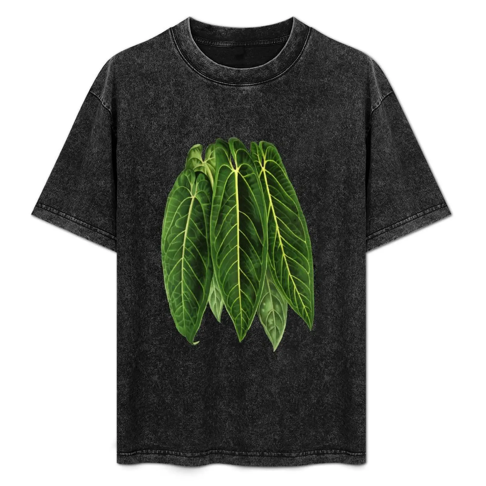 Anthurium warocqueanum - Queen Anthurium T-Shirt custom t shirt anime t shirts essential t shirt cute tops vintage shirt men