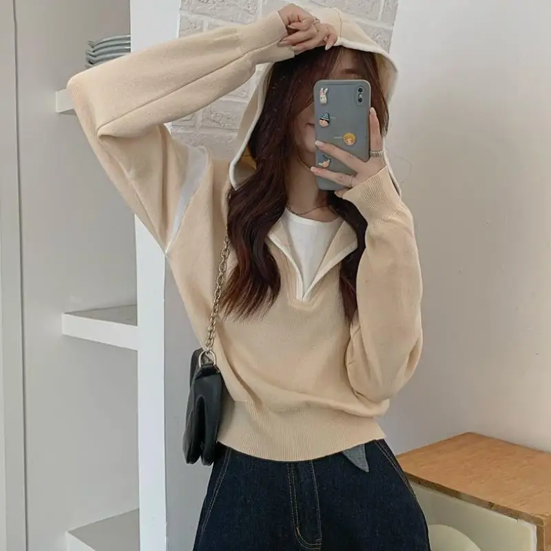 

Корейская вязаная шапка Sle Long Sve, женский свободный свитер, весна-осень, Новое поступление, двухсекционный искусственный ансамбль...