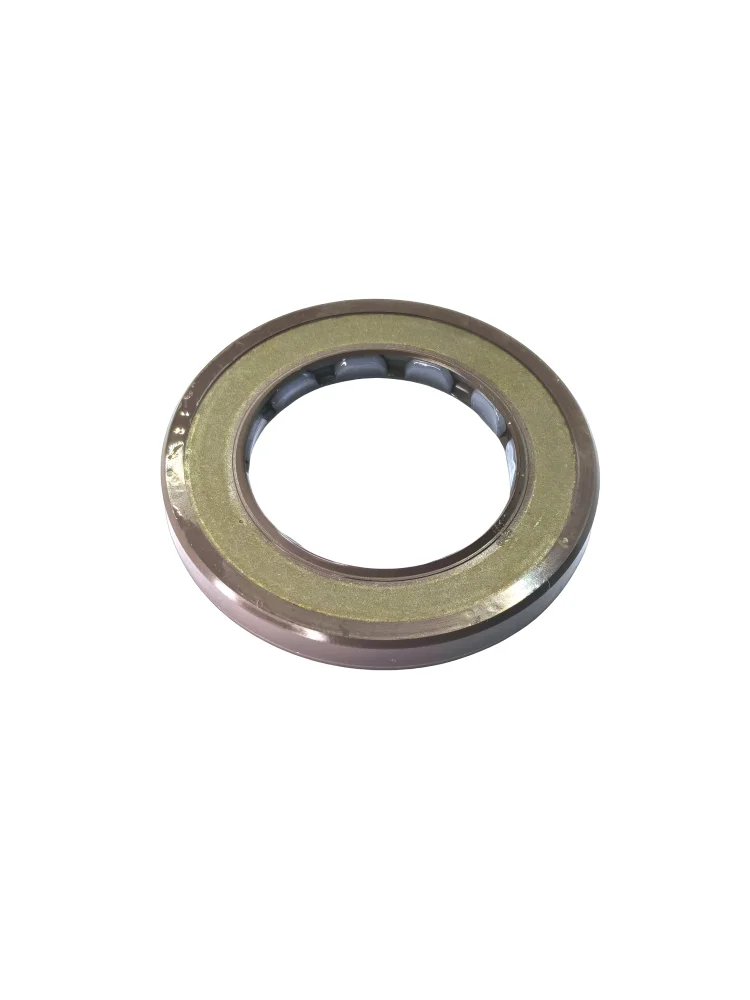 High Quality FKM Pressure Type Oil Seal BAFSL1SF 30*48*6 mm - Double Lip Oil Seal with Spring