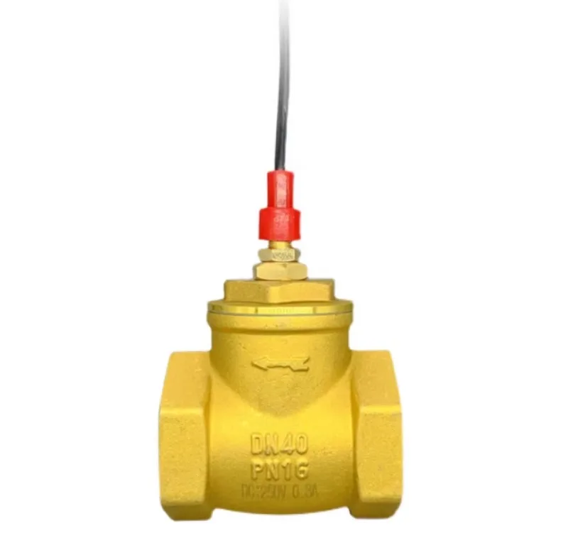 Air Energy High Flow All Copper One-way Valve Baffle Plate Water Flow Induction Signal Flow Switch 4/6-point 1 Inch