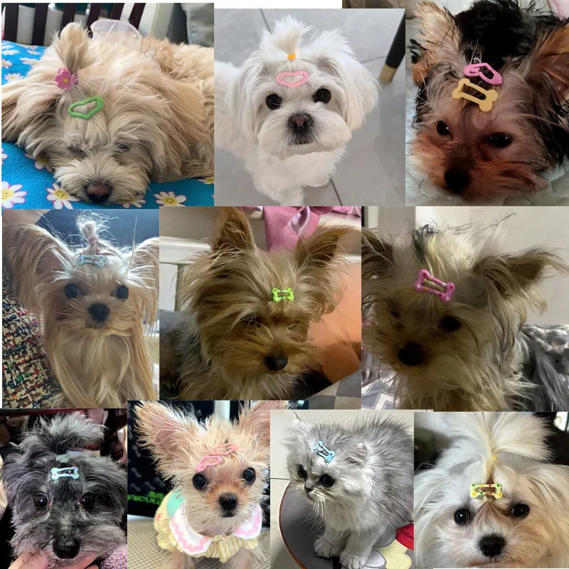 5/10/20pcs Dog Hair Clips Multicolor Barrettes Small Bone Snap Hair Clips for Dog Cat Pet Grooming Bows Pet Hair Accessories