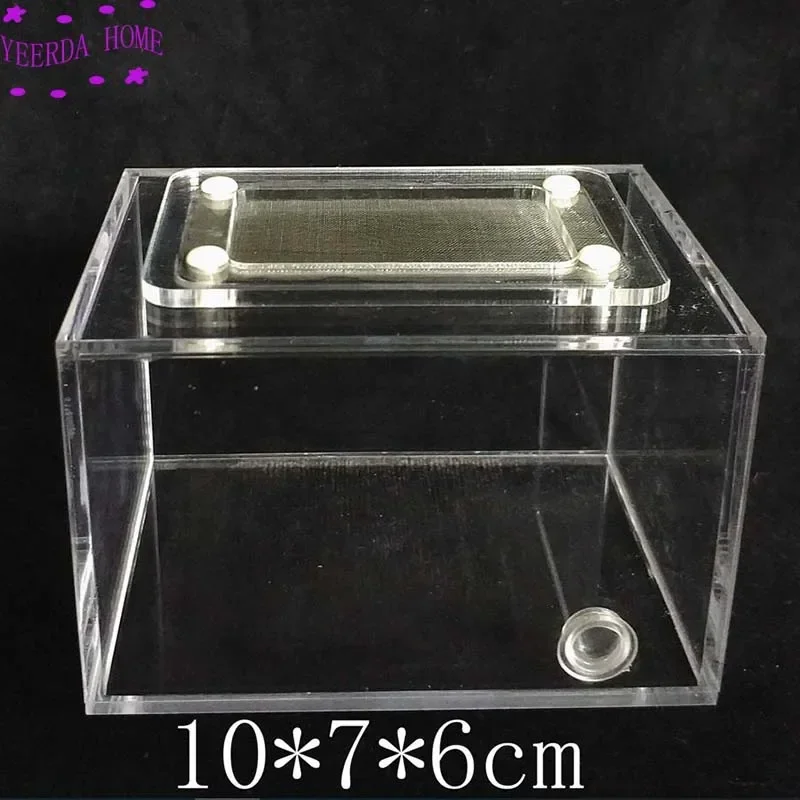 Compact Micro-Habitat and Colony Observation Box - 10x7x6cm 2