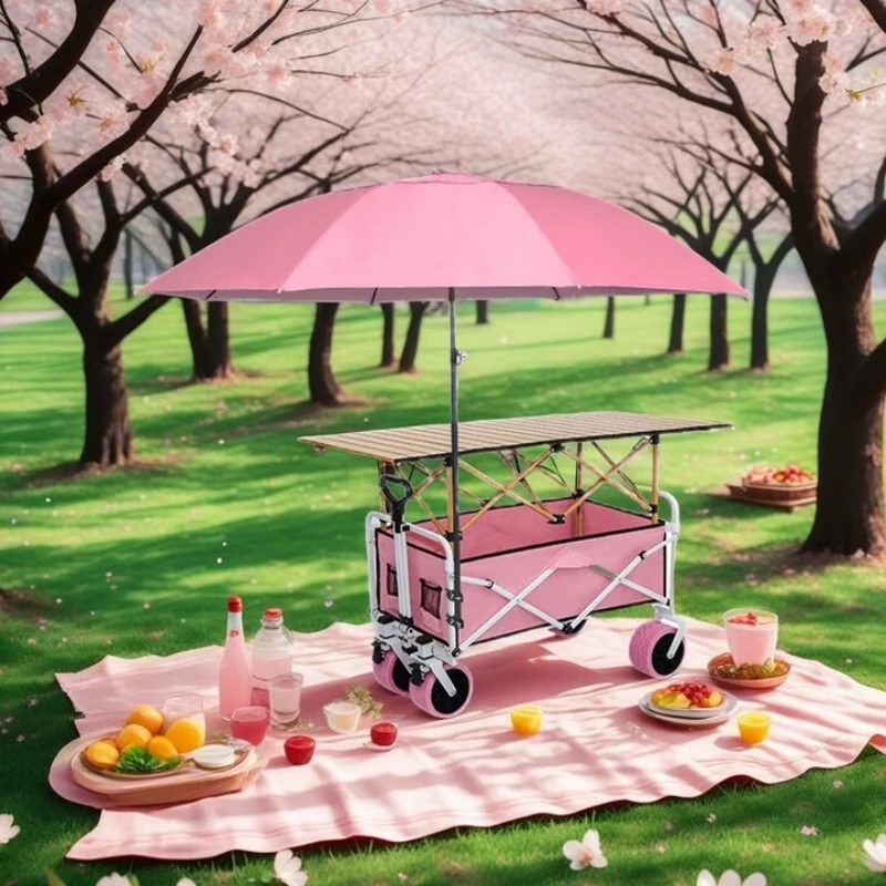 

Camping Stall Cart Foldable with Parasol Table Canopy Equipment Hand Pull Cart Tank