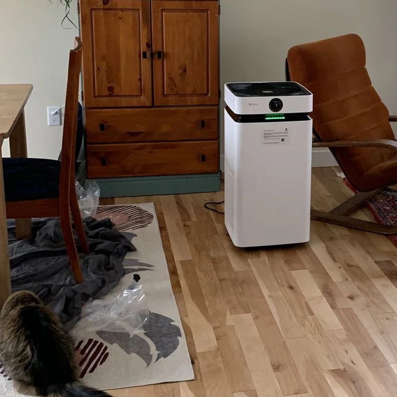 Smart Purification Large Air Cleaner Plasma Air Purifier No Consumable