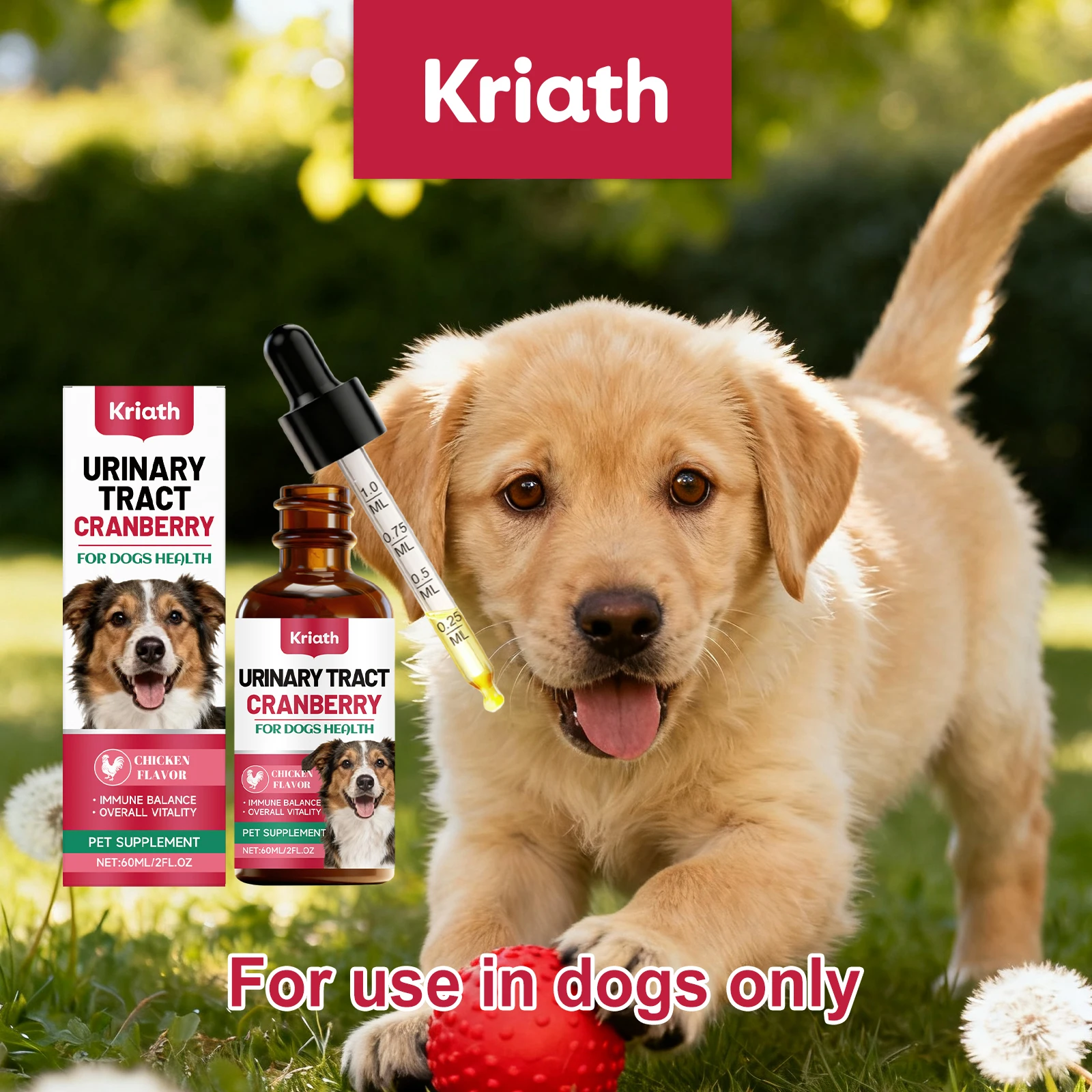 Dog Body Care Liquid Drops Support Urinary Tract Comfort Immune Balance Bladder Health Boost Dog Overall Vitality Oral Feeding