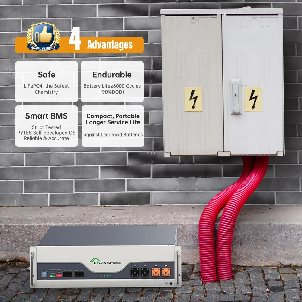 LIONSHEE Residential Energy Solar Power Storage System Lifepo4 100Ah Lithium Ion Battery  51.2V Lithium Iron Phosphate Battery