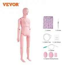 VEVOR Nursing Training Manikin Female Life Size Demonstration Human Manikin for Nursing Training Multifunctional Model Supplies