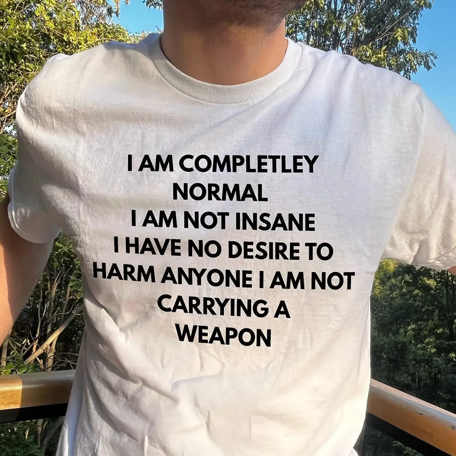 Dark Humor T Shirt I Am Completely Normal Statement vintage Washed Stylish Unisex fashion graphic Soft Breathable