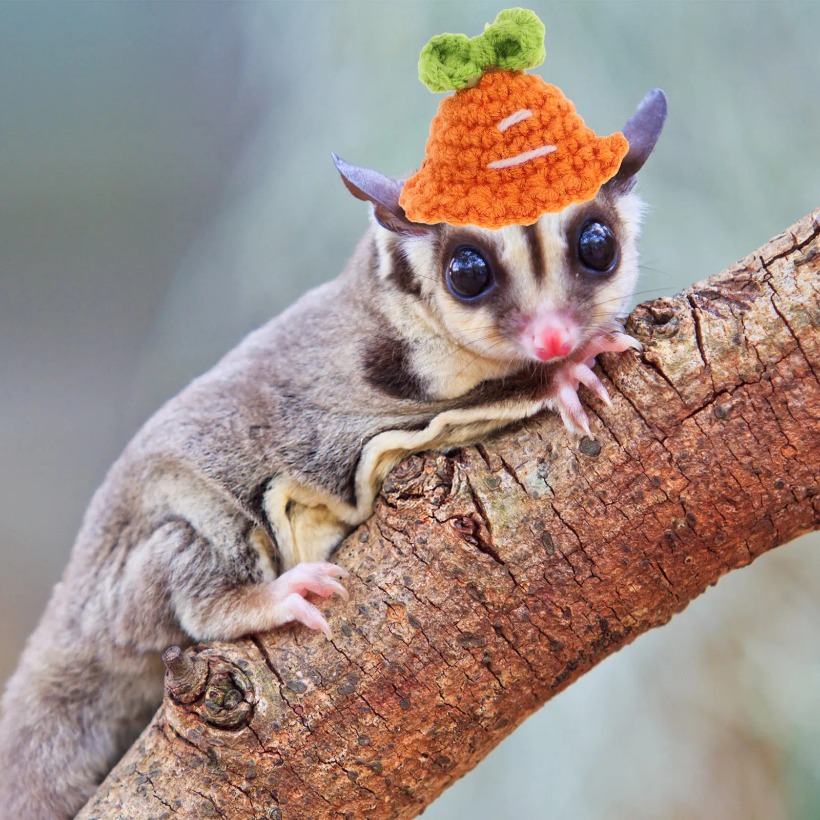 Lightweight Compact Knitted Small Pet Hat Suitable for Hamster Guinea Pig Chinchilla Squirrel Miniature Snake Decorative