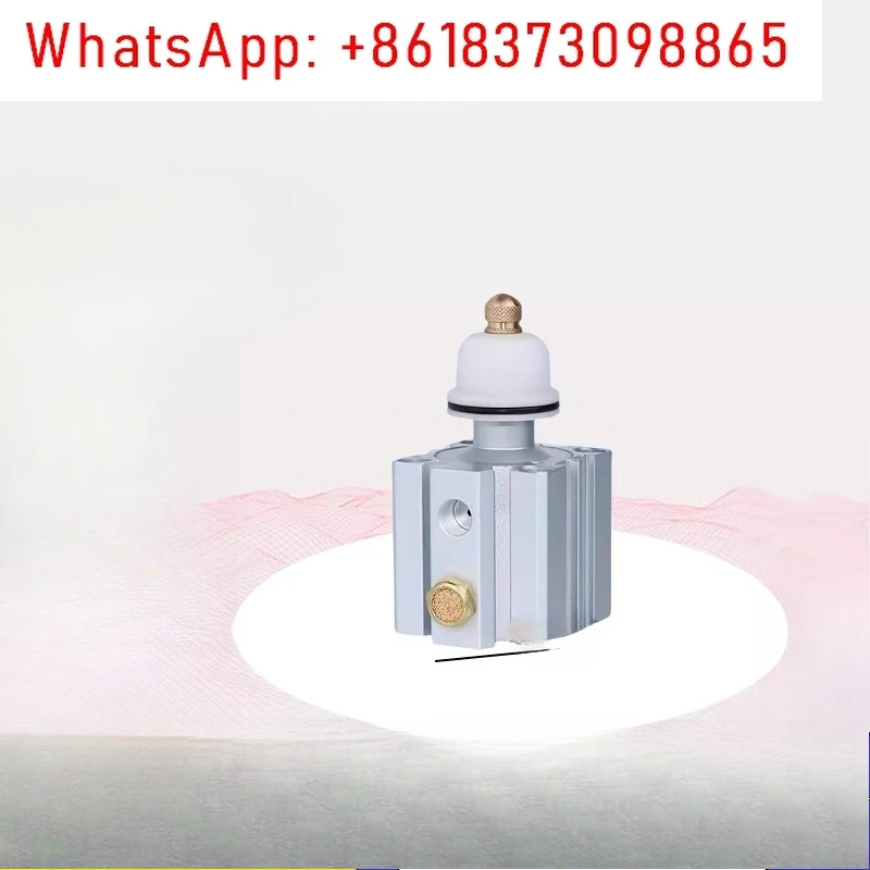 

High Precision Auxiliary Support Cylinder FZ32Q Air Pressure Pneumatic Floating Support Cylinder Clamp Shaker Workpiece Locking