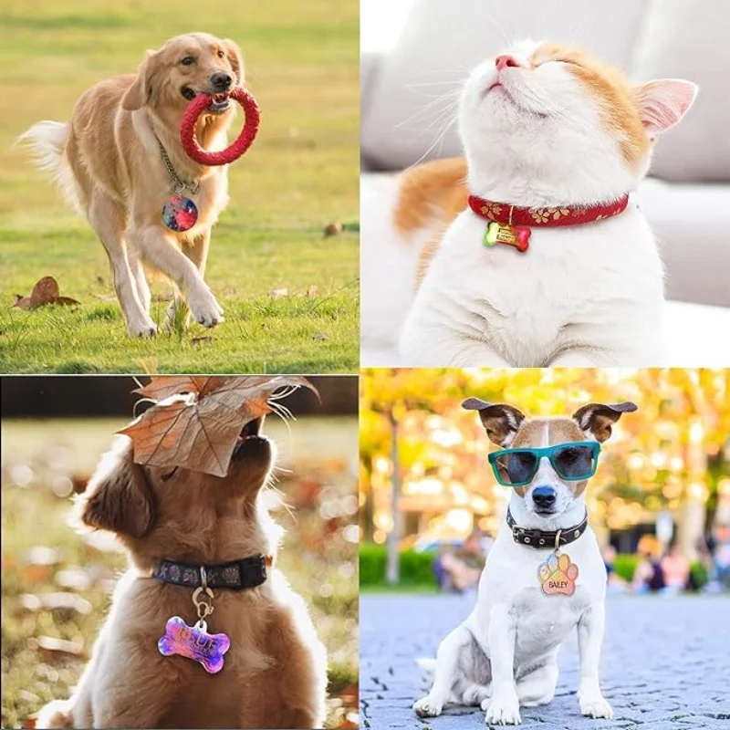 Molde de resina Epoxy de silicona de marca para mascotas con pegamento de gota de cristal DIY