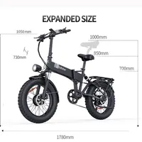 Ridstar H20 Electric Bicycle  Dual Brushless Motor 48V23AH Lithium Battery Folding E-bike 20*4.0-In Fat Tire City Electric Bike
