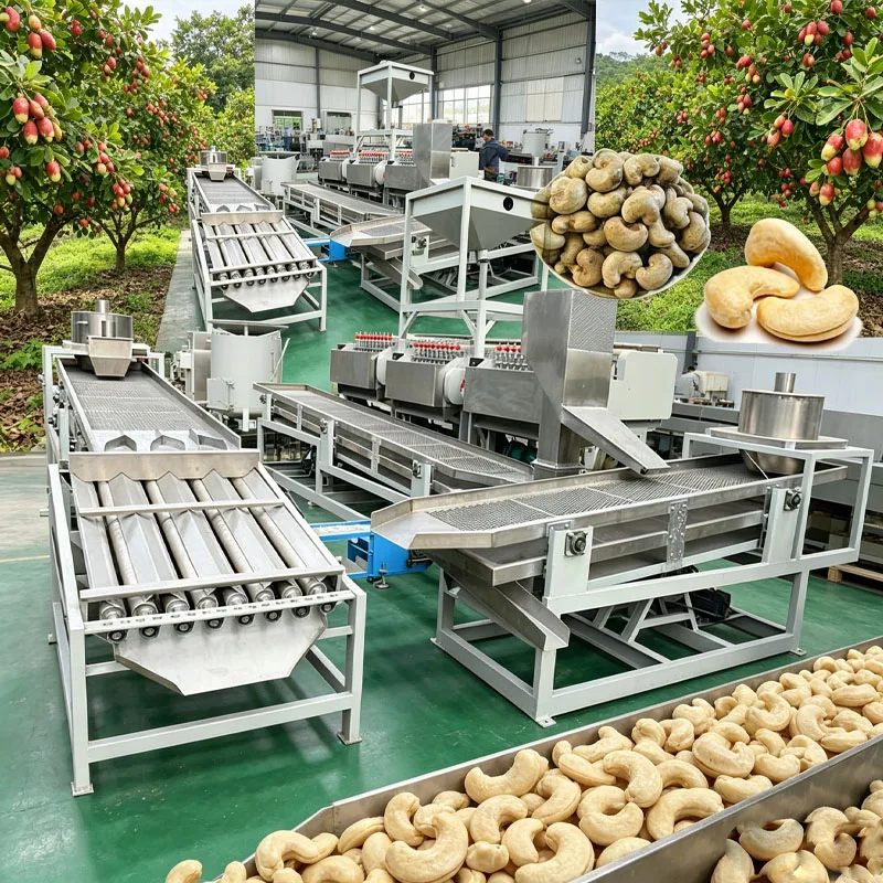 Small Cashew Processing Line with Automatic Shelling Peeling Oven and Air Compressor for Raw Cashew Kernels Customized