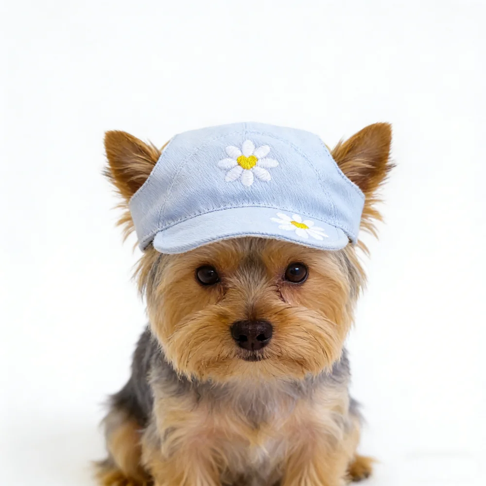 Boné de Jeans para Cães com Óculos de Sol, Acessório de Estilização para Animais de Estimação, Chapéu para Cães Pequenos e Médios, Filhotes, Gatos, Dachshund, Yorkshire