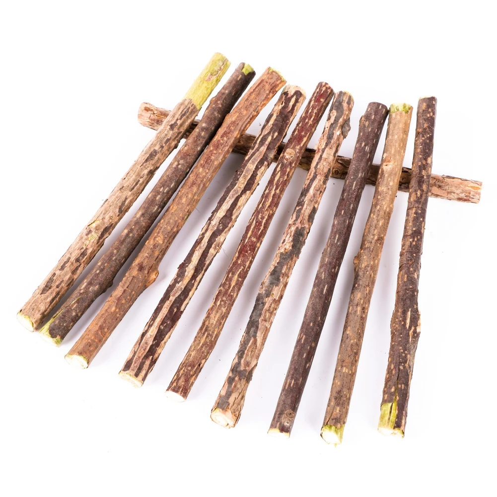 10/15/20 Sticks/Bag Silvervine Sticks for Cats Natural Catnip Chew Sticks Teeth Molar Chewing Toys for Cat Kitten Kitty Gifts