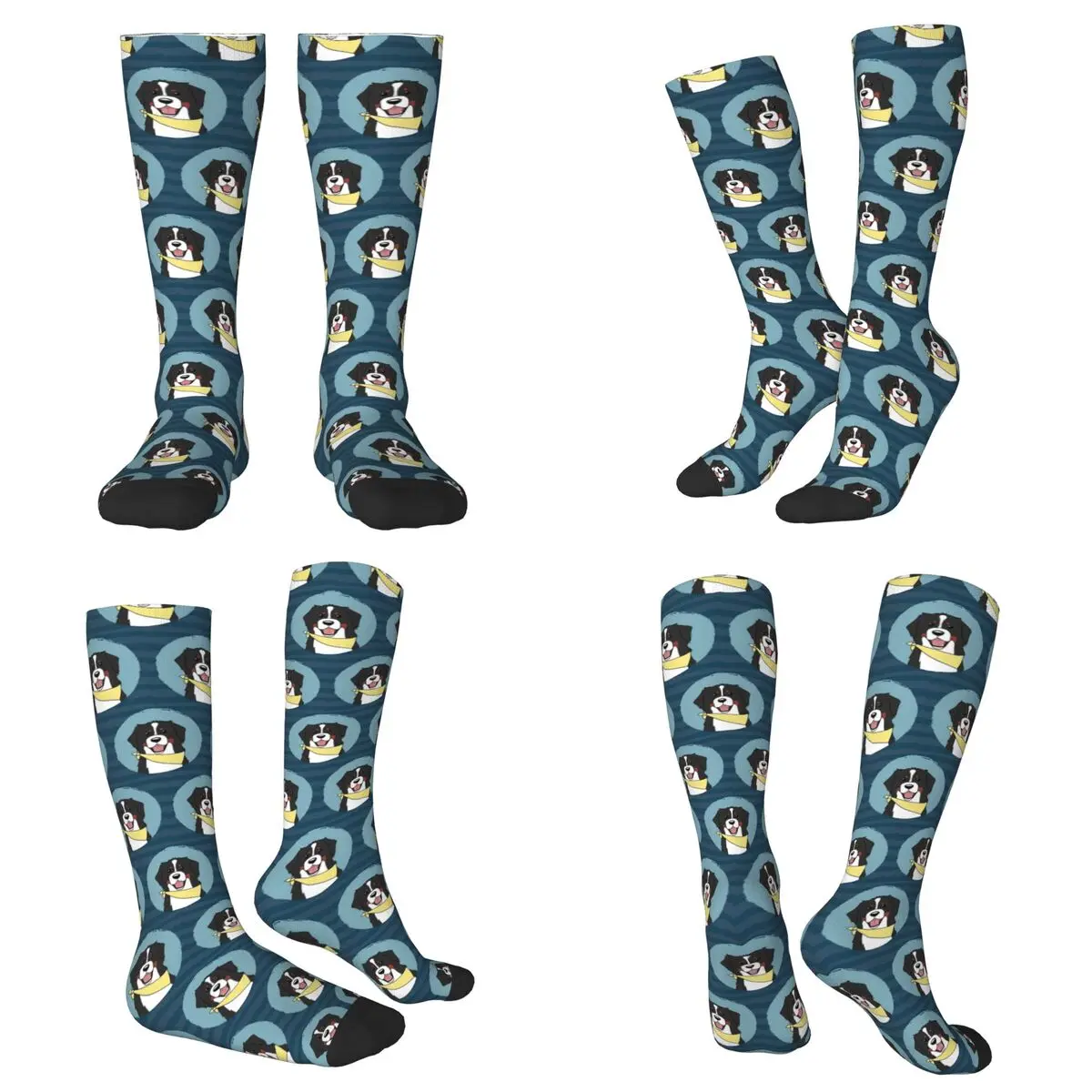 All Seasons Friendly Bernese Mountain Dog Animal Socks Harajuku Sport Middle Tube Socks Soft Funny Stockings for Men Women