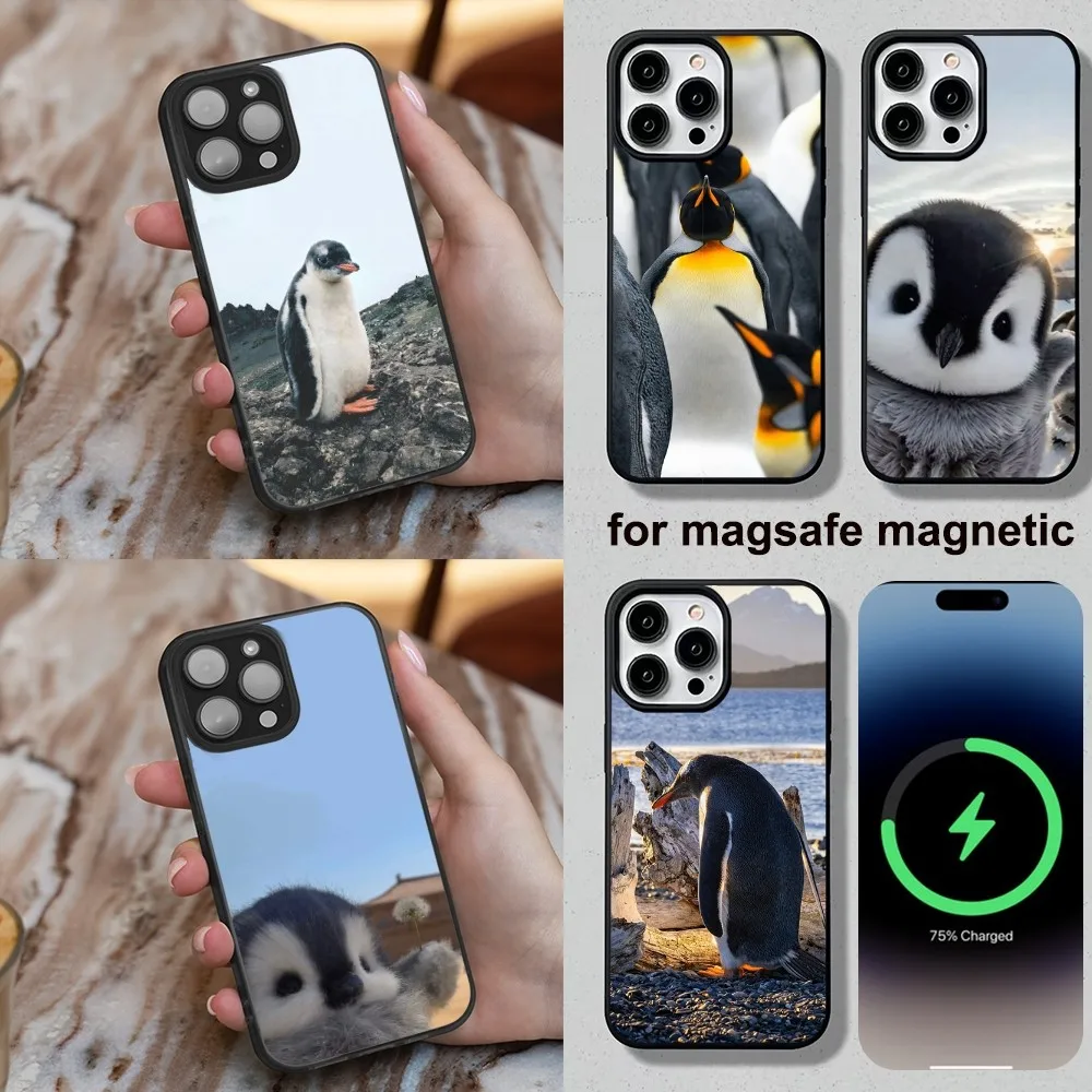 penguin Animal Phone Case For iPhone 16,15,14,13,12,11,Plus,Pro,Max,Mini Magesafe Magnetic Wireless Charge