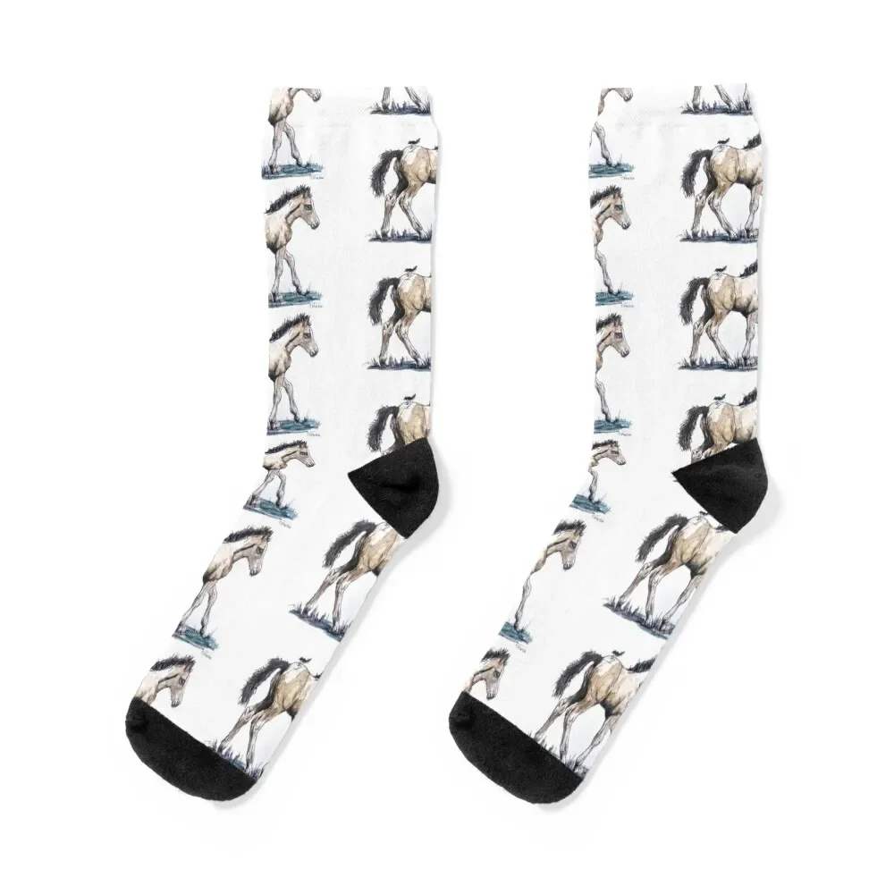 

Little Tottie and Willy Wagtail Socks japanese fashion designer loose Run Socks Woman Men's