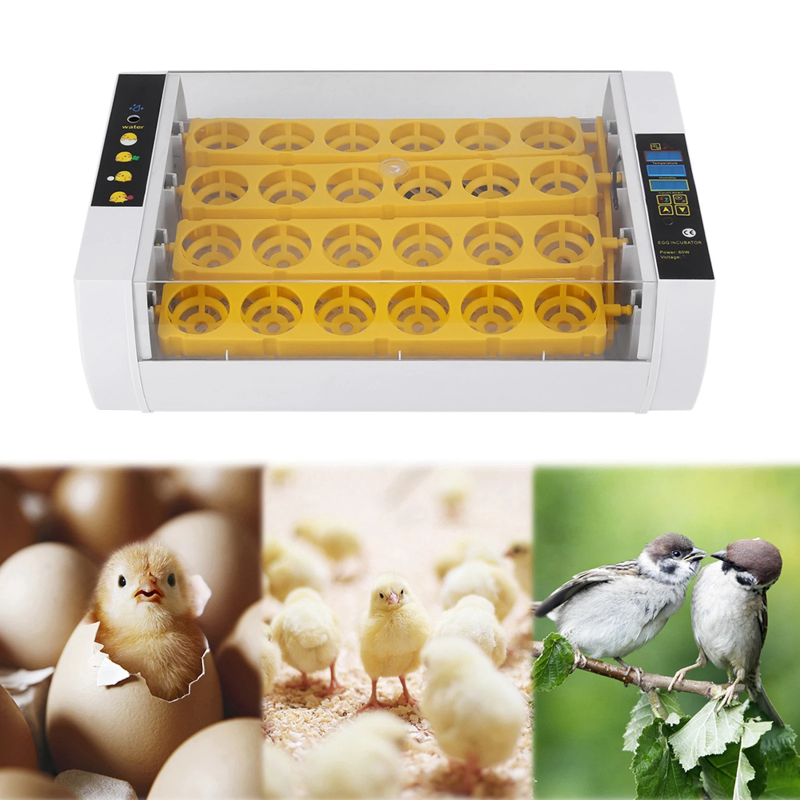 24 Eggs Incubator Temperature Control Digital Automatic Chicken Chick Duck Hatcher Automatic Egg Incubator Egg Hatcher Incubator