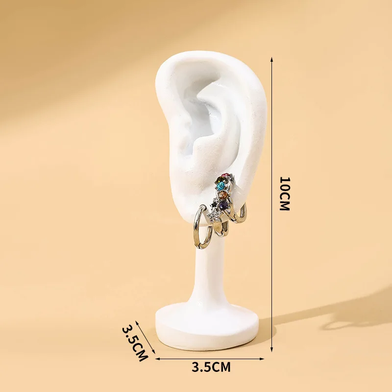 Realistic Silicone Ear Model Display Stand