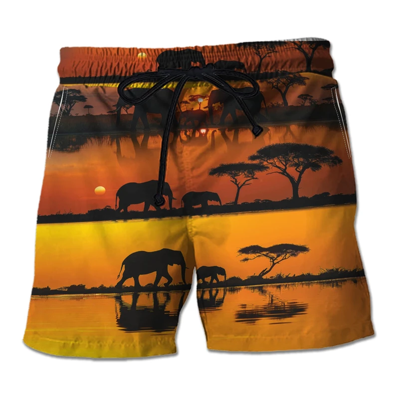 

Пляжные Гавайские шорты с милым 3D-принтом слона, повседневные женские плавки с принтом зоопарка, животных, для мальчиков, пляжные шорты