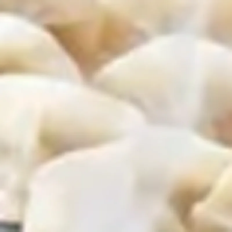 Stainless Steel Mea…