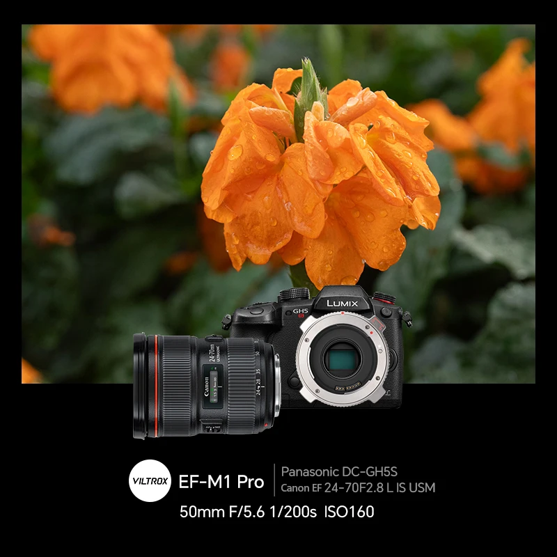 Thumbnail 3 - #45 Trending Lens Converters Right Now