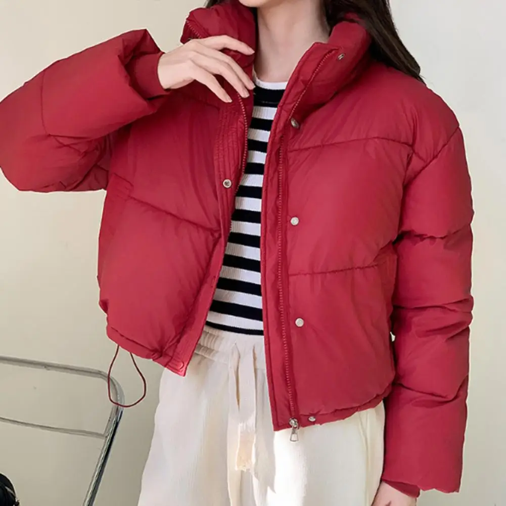 Short Zipper Button Jacket Zippered Single Breasted Coat High Collar Winter Down Coat with Pockets Windproof for Heat