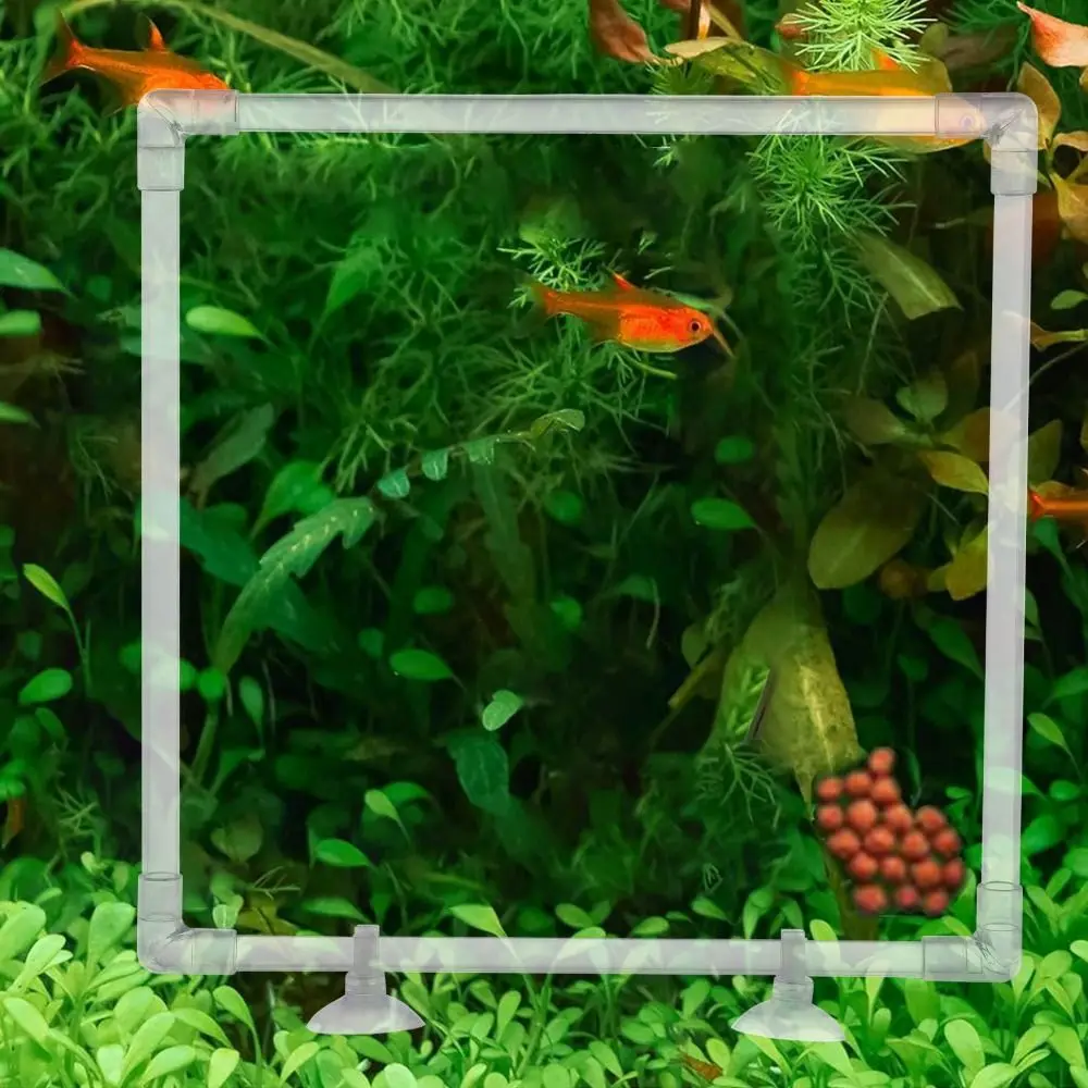 Acuario acrílico creativo, planta flotante, Corral, cuadrado transparente, anillo de comida para acuario, anillo de alimentación de peces reutilizable, jardín, patio de césped