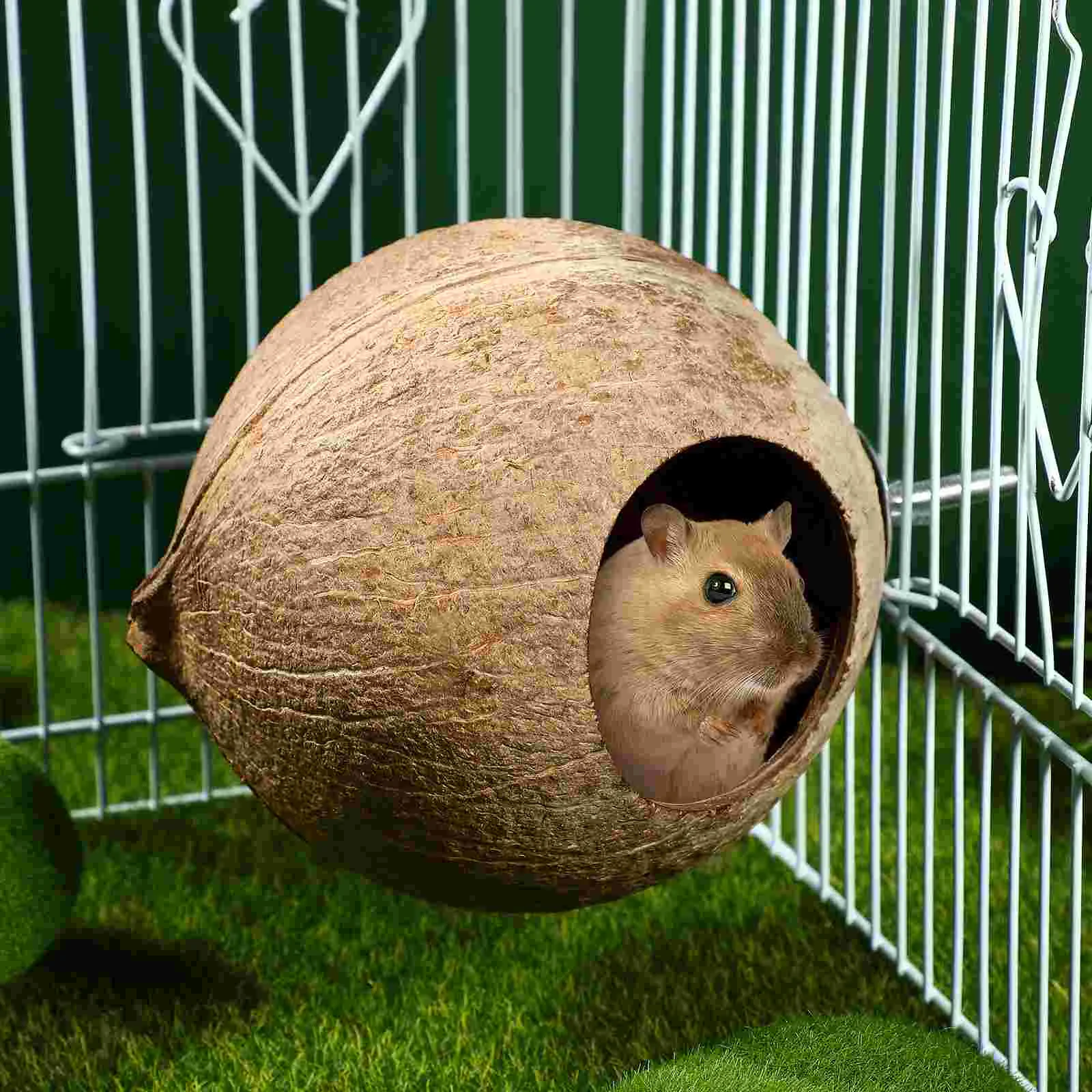 POPETPOP Coconut Shell Pet Bird Nest Hamster Squirrel Breeding Nest Crafts Delicate Bird House Pendant for Yard Garden