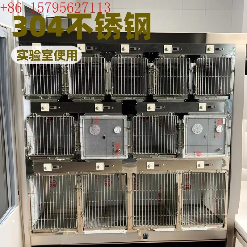 Cats And Dogs In-Pa…