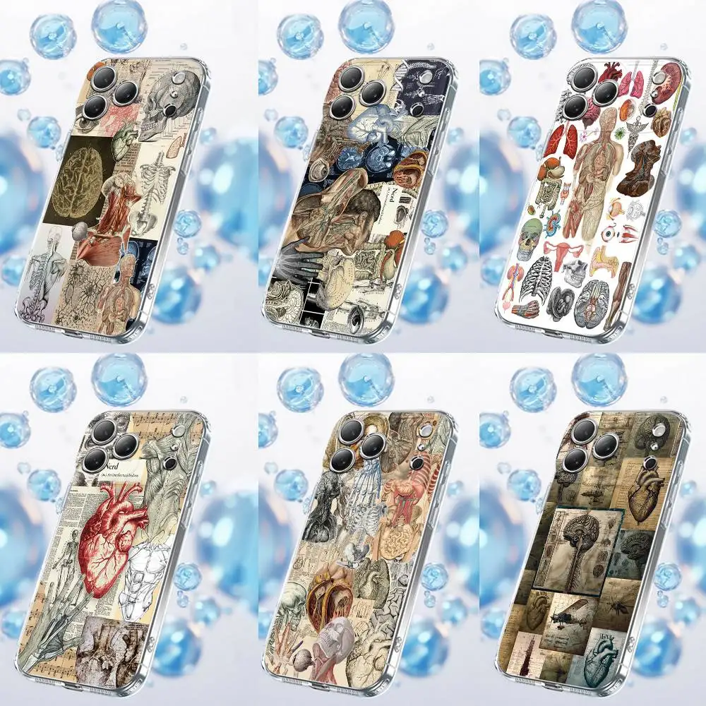 

Human Anatomy Biology Medicine Physiology Phone Case For iPhone 17,16,15,14,13,12,11 Plus,Pro,Max,Plus,E,Air,Mini Transparent