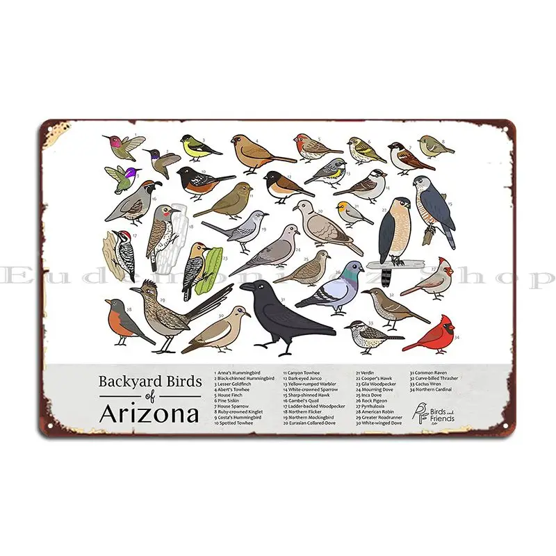 Arizona Backyard Birds Of Arizona Field Guide Print Bird Art Birdsandfriends Co Metal Signs Customized Plaques Tin Sign Poster