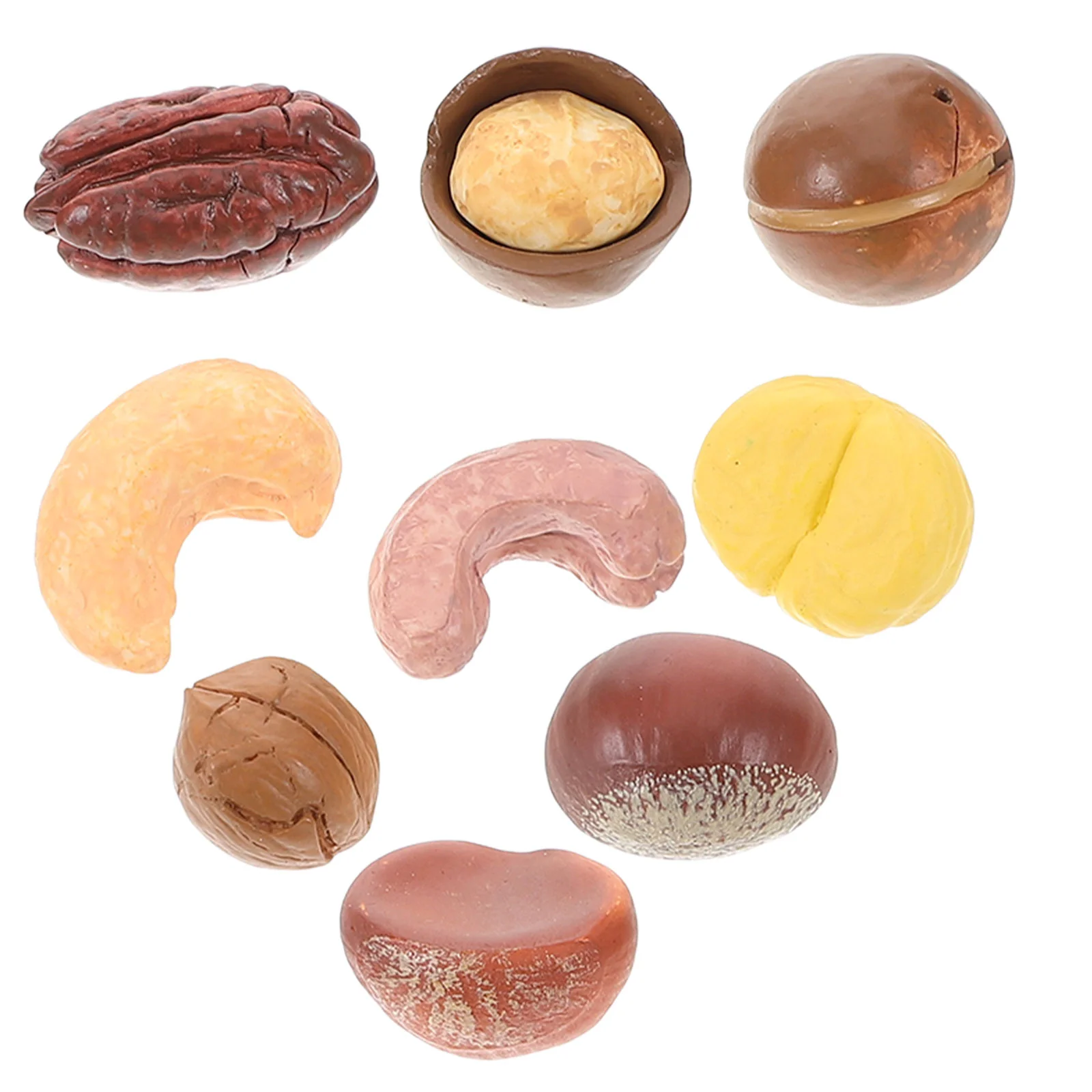 9 Pcs Macadamia Nut Model Crafting Decorations Artificial Models Props Photography Resin