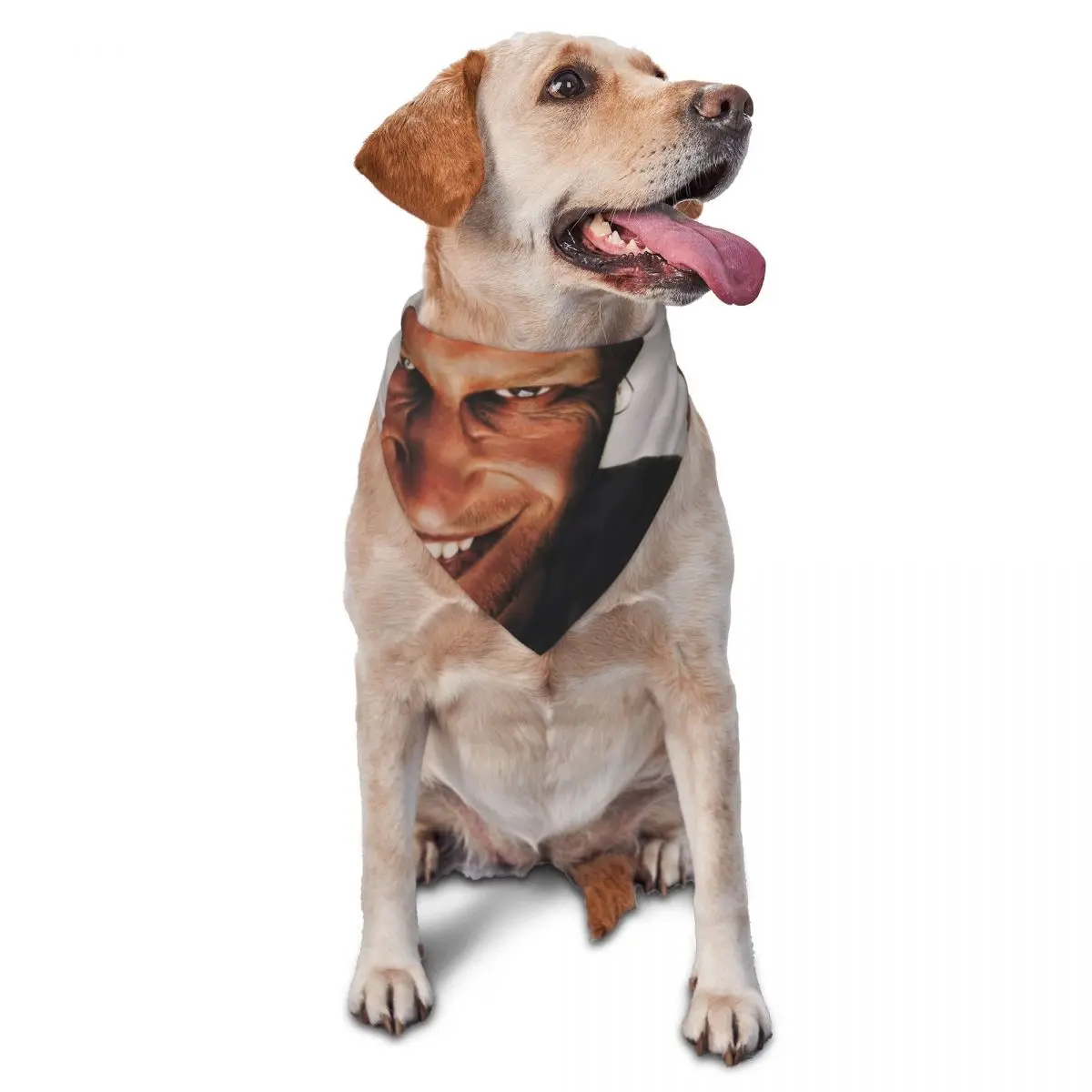Aphex Twin Music Artist Producer Pet Scarf Polyester Cats Puppies Bandanas Creative Triangle Bib Pet Accessories