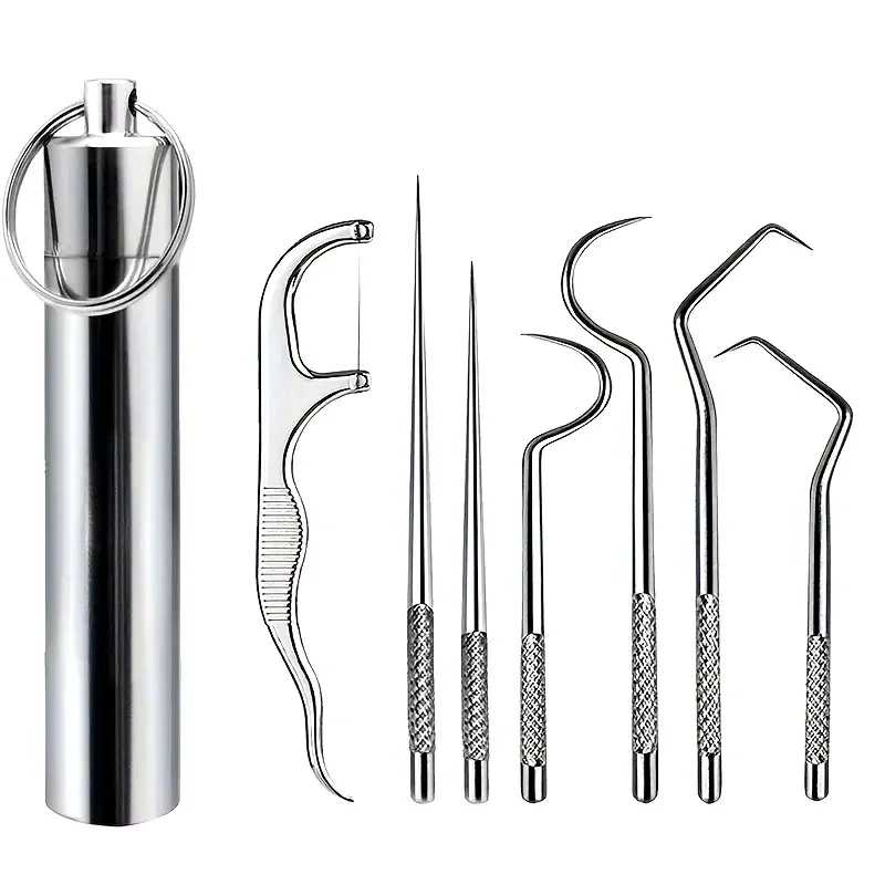 1set Stainless Steel Toothpick Set Tooth Flossing Reusable Toothpicks Portable Toothpick Floss Teeth Cleaner Oral Cleaning Tools