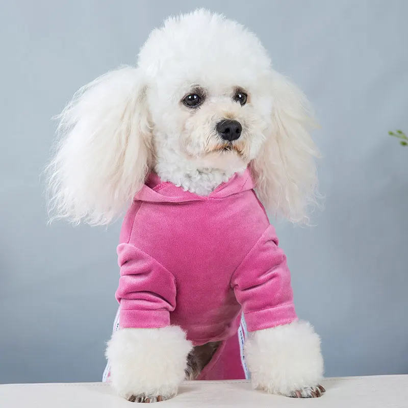 Mono de terciopelo para perro pequeño, ropa cálida para primavera y otoño, pijama para gatito, cachorro, Jersey, abrigo para disfraz de Chihuahua