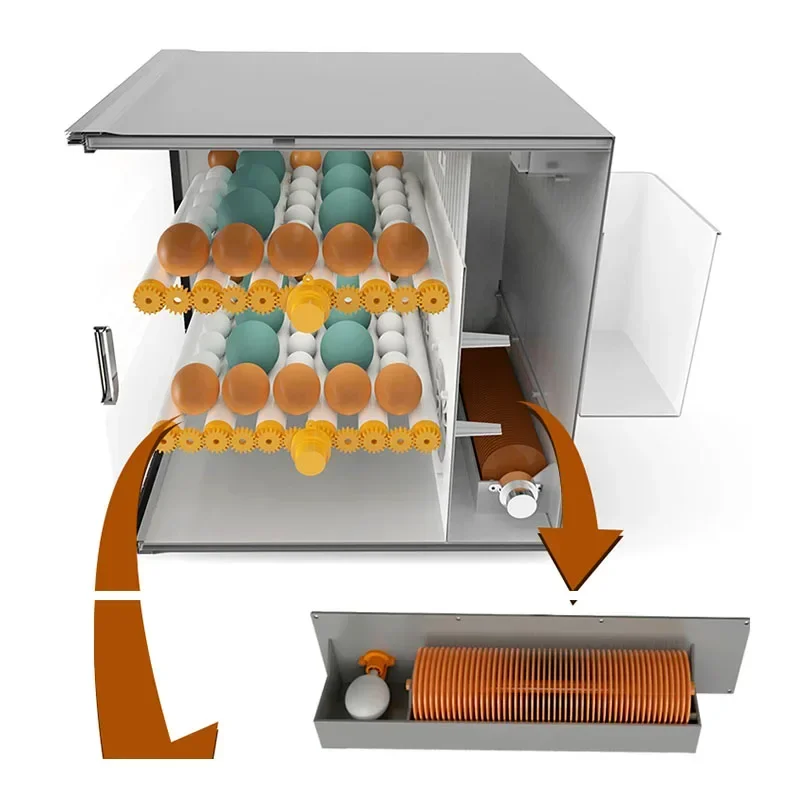 Incubatrice per polli Incubatrice per piccioni Mini incubatrice automatica intelligente per anatre e oca per uso domestico