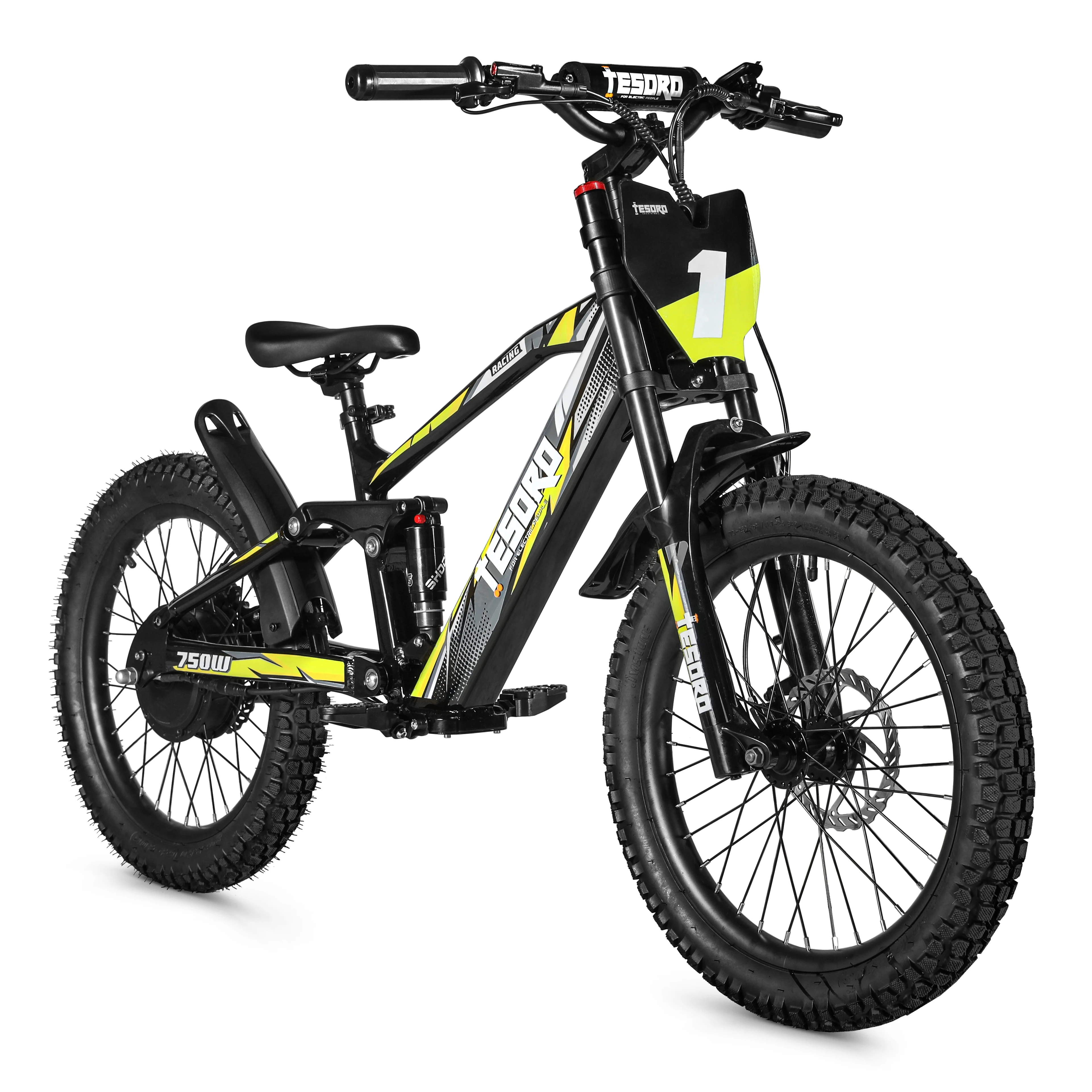 18-inch / 20-inch High-quality Four-link Suspension Frame 500W - 750W Motor Dual-wheel Children's Bicycle