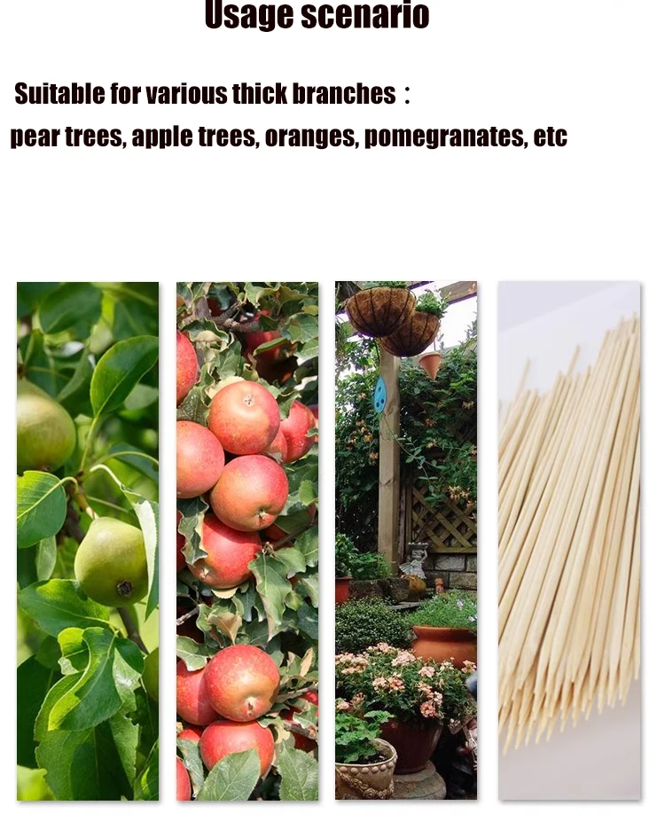 SK5 Stahl Garten Hand Pruner Obstgarten Schere Langlebiges Baum Trimmen Werkzeug für Beschneiden Obst Bäume Garten Schneiden Werkzeuge – Detail 4