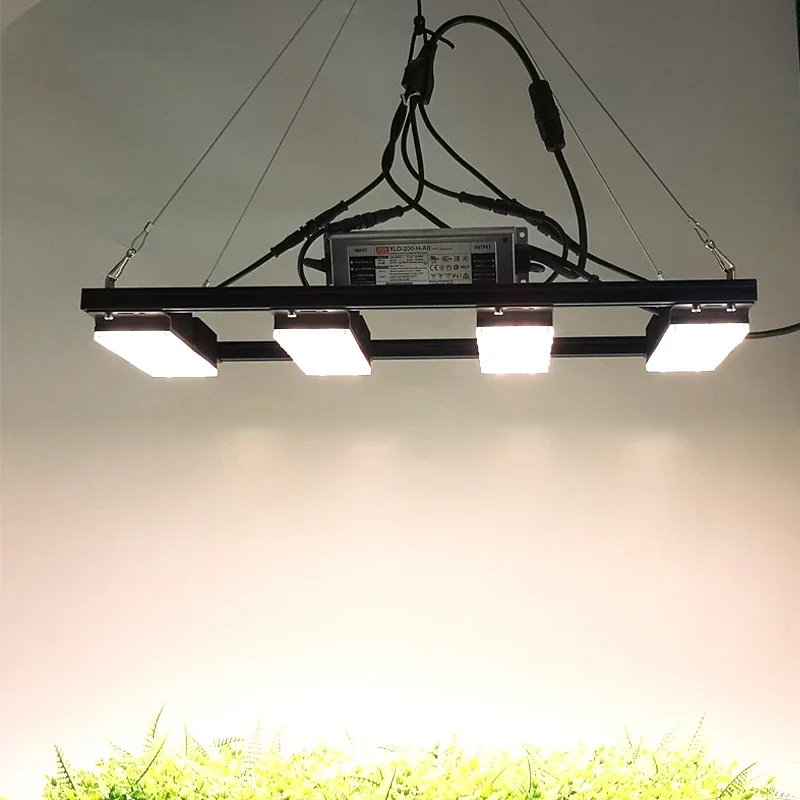 Luz led de espectro completo con control por aplicación, 200w, gran venta en EE. UU., Reino Unido, Thanilnd, Polonia, Alemania