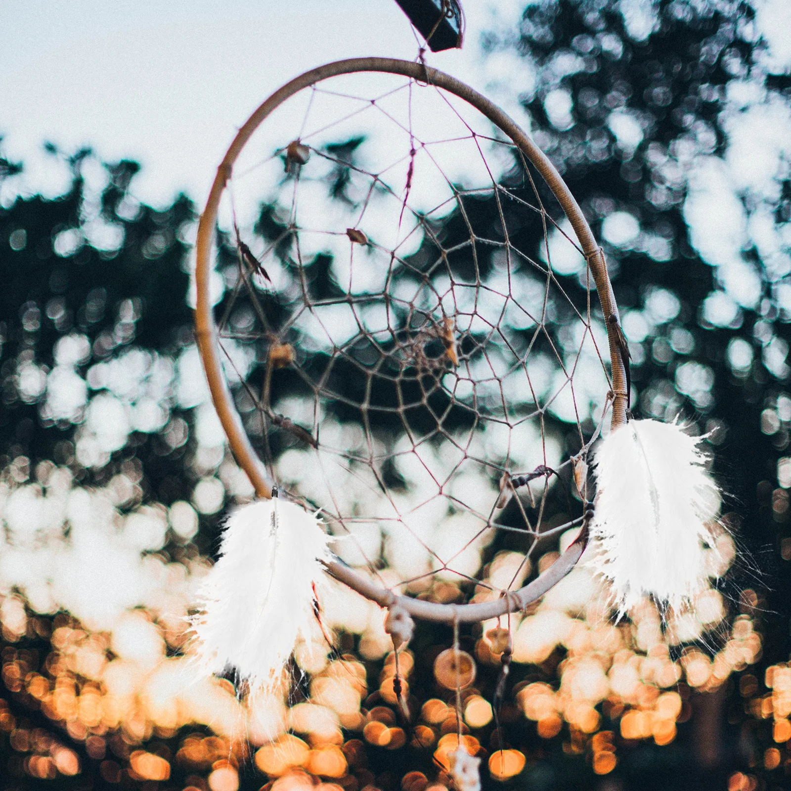 

50Pcs Catcher Making Material White Soft Turkey Plumes for Wedding Party Craft Projects Party Plumes Decorative Plume