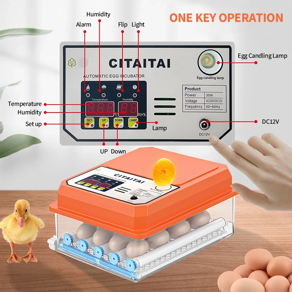 1Pc Farm Bird Quail Chicken Poultry Egg Incubator Fully Automatic Turning Hatching Brooder Farm Hatcher Turner Incubation Tool