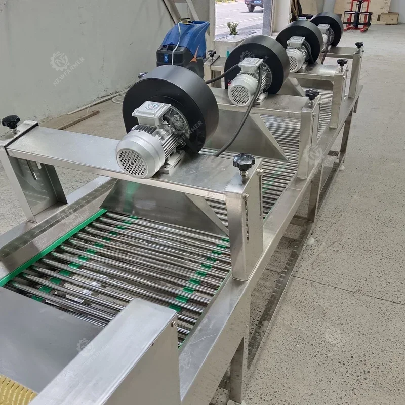 Stainless Steel Vegetable And Fruit Air Drying Equipment Fruit Vegetable Wind Dryer Air Flow Drying Machine