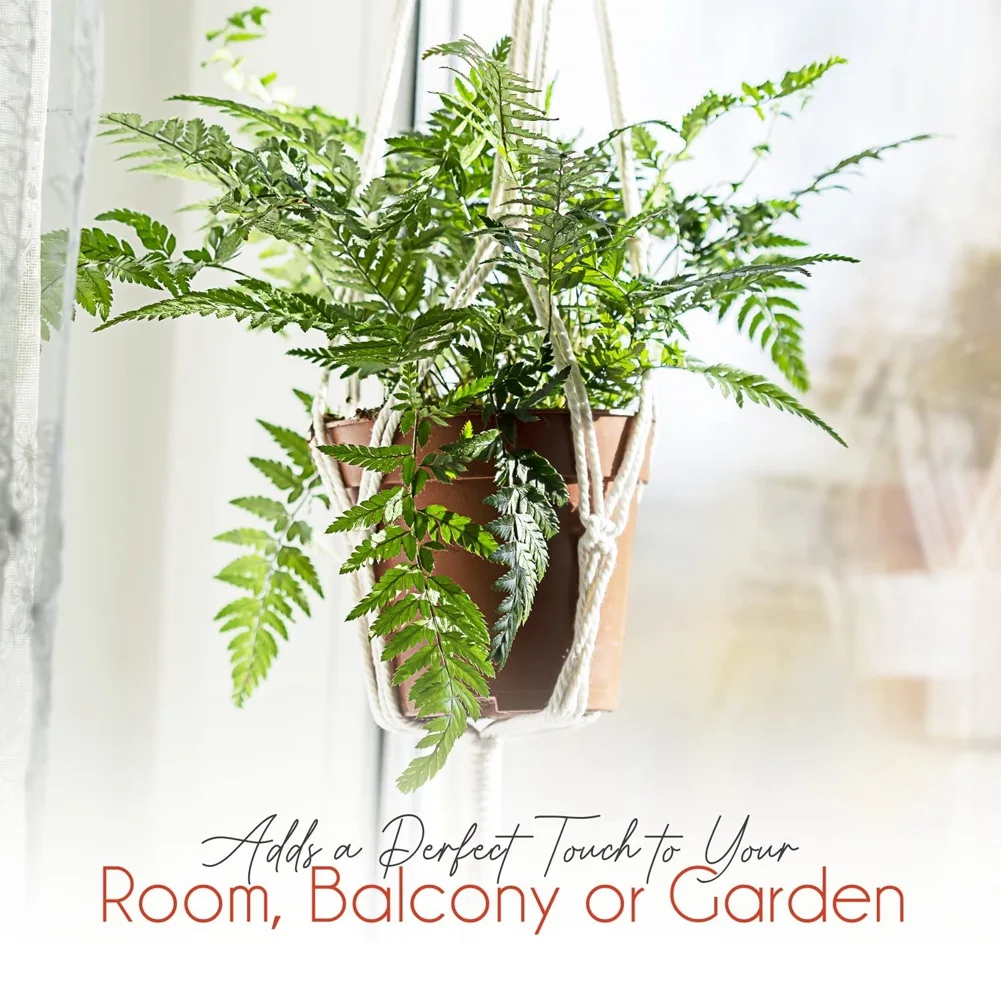 

A56P-Plant Hangers Indoor Macrame Hanging Planters For Indoor Plants -6 Pack Hanging Plant Holders Indoor Hanging For Indoor
