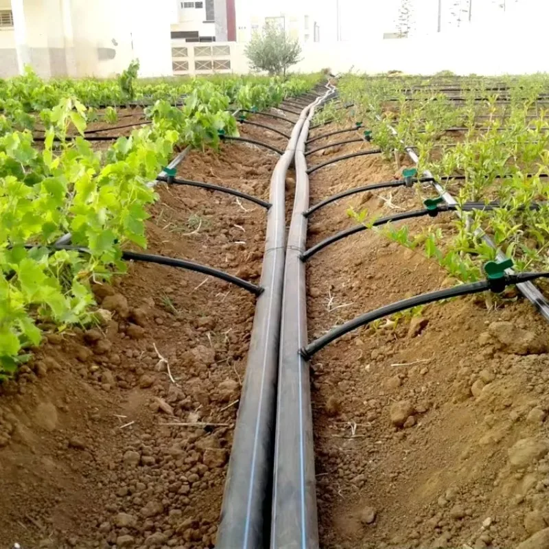 

1 Hectare Irrigation Kit Agricultural Drip Irrigation Complete System