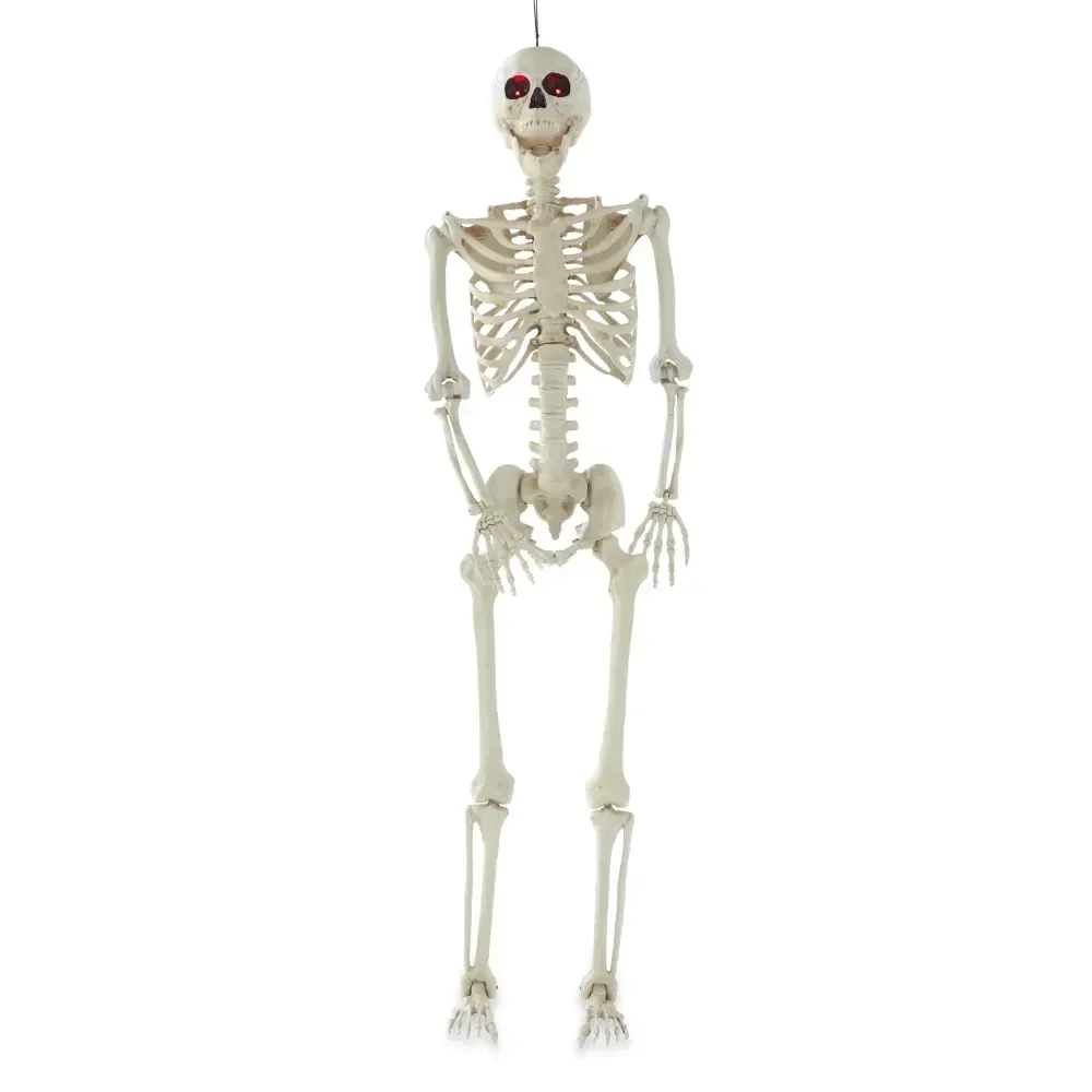 

Halloween Plastic Posable Skeleton with Light-Up Eyes Decoration, Bone Color, 60 in, 3.5 lbs Outdoor Holiday Decorations