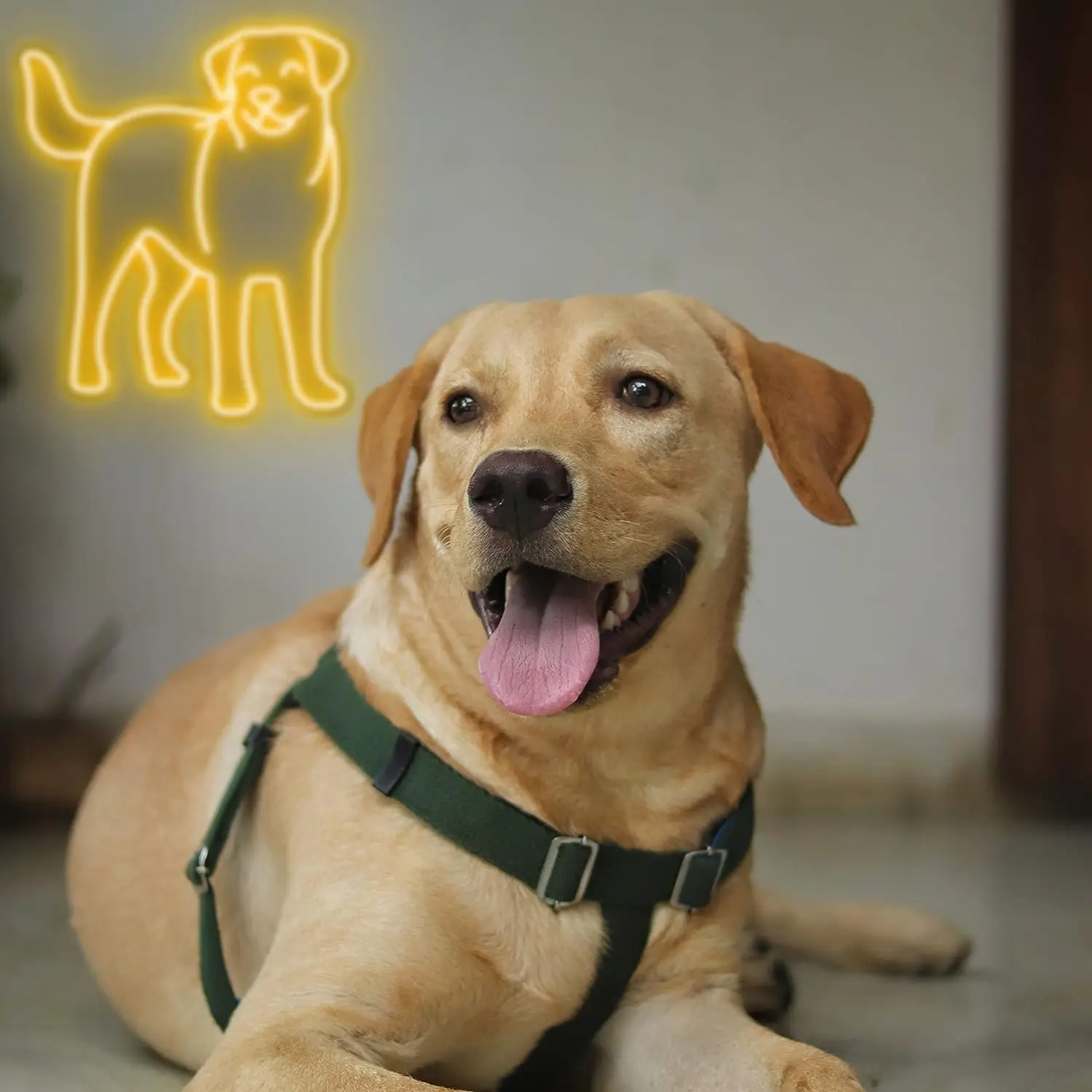 Labrador Retriever Neon Signs LED Neon Light Sign Light Up Neon Signs for Dog Lovers Home Decor Dog Memory Gifts Dog Neon Sign