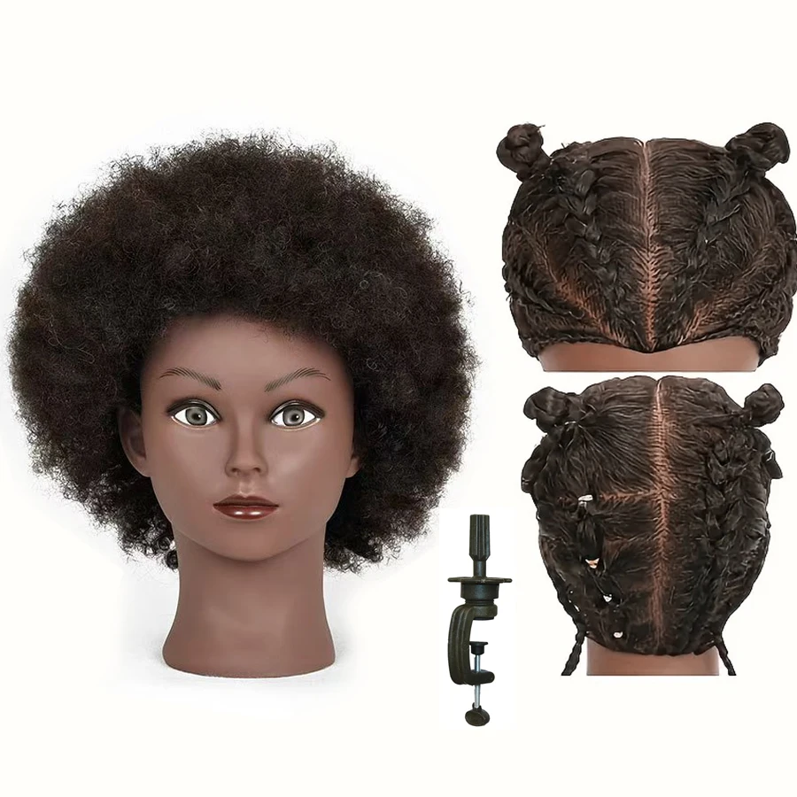 Cabeça de manequim humano africano unissex, cabelo encaracolado realista, cosmetologia, treinamento, penteado, prática, expositor incluído
